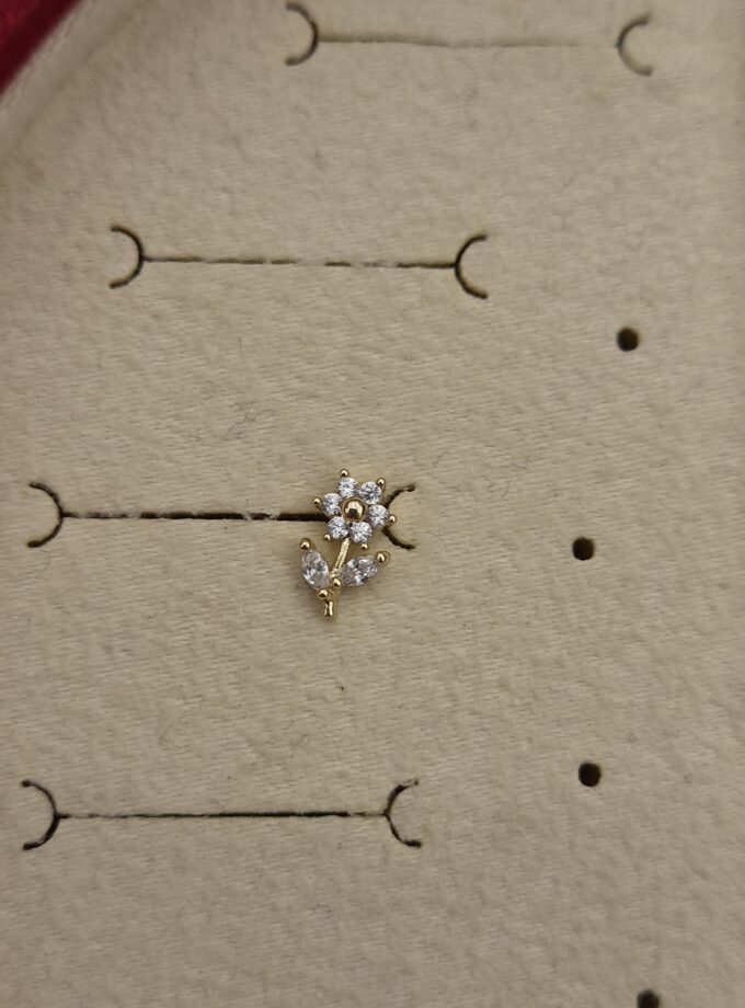 Tragus
