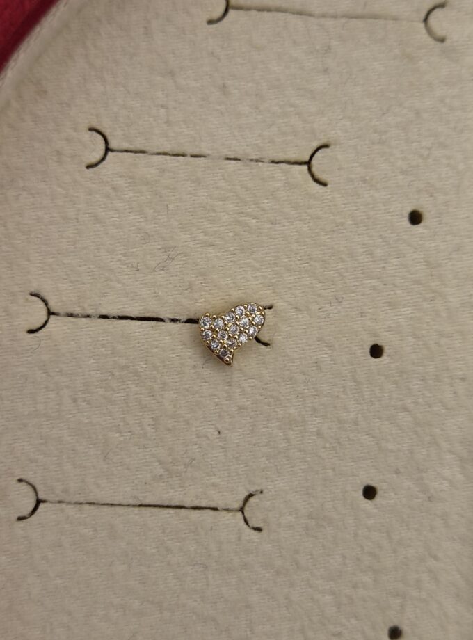 Tragus