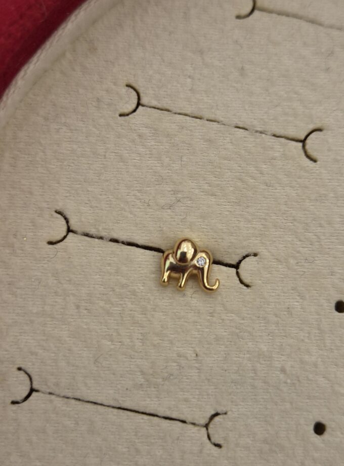 Tragus