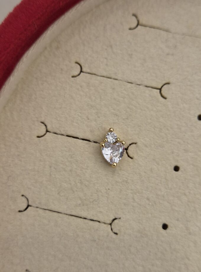 Tragus