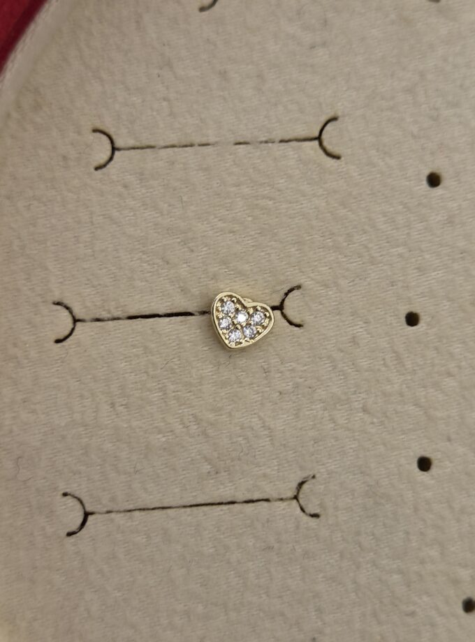 Tragus