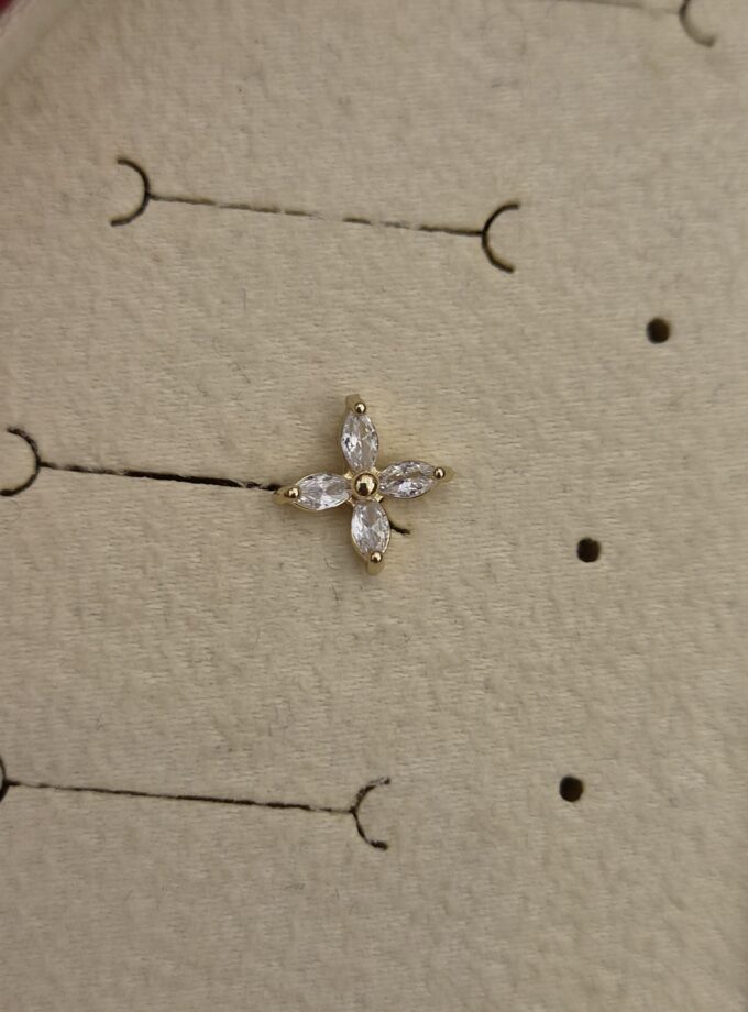 Tragus