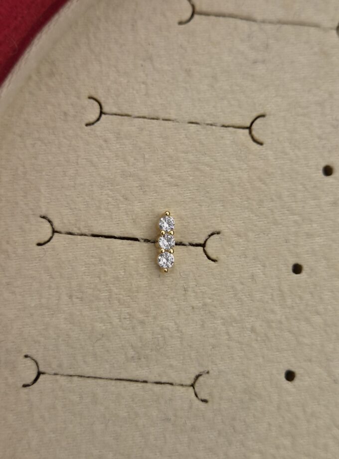 Tragus