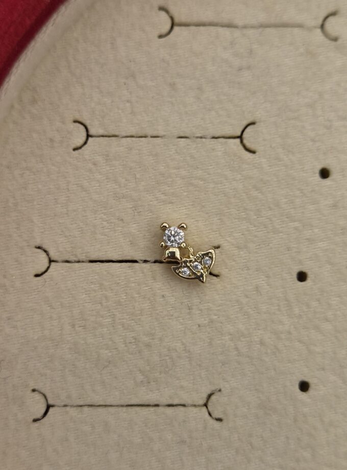 Tragus