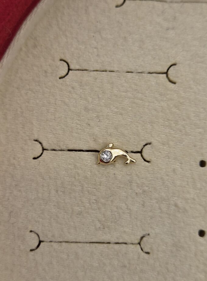 Tragus