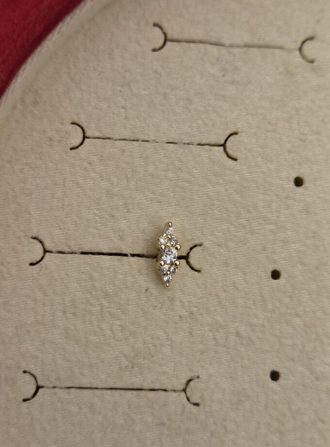 Tragus