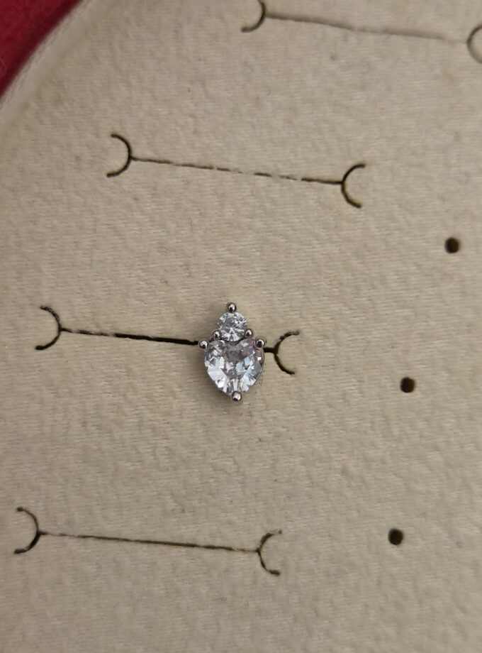 Tragus
