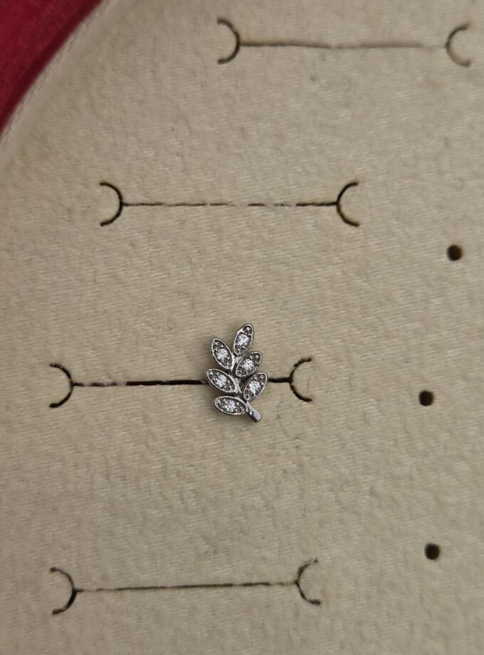 Tragus