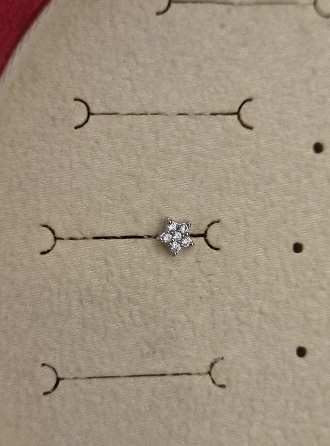 Tragus